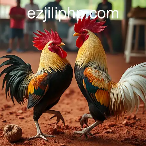 The Controversial World of Cockfighting and Its Connection to EZJili Casino Login